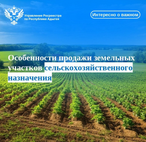 Особенности продажи земельных участков сельскохозяйственного назначения