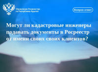 Могут ли кадастровые инженеры подавать документы в Росреестр от имени своих своих клиентов?
