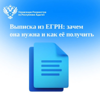 Выписка из ЕГРН: зачем она нужна и как её получить