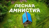 Лесная амнистия