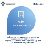 Сведения из ЕГРН в Адыгее можно получить в среднем за один день